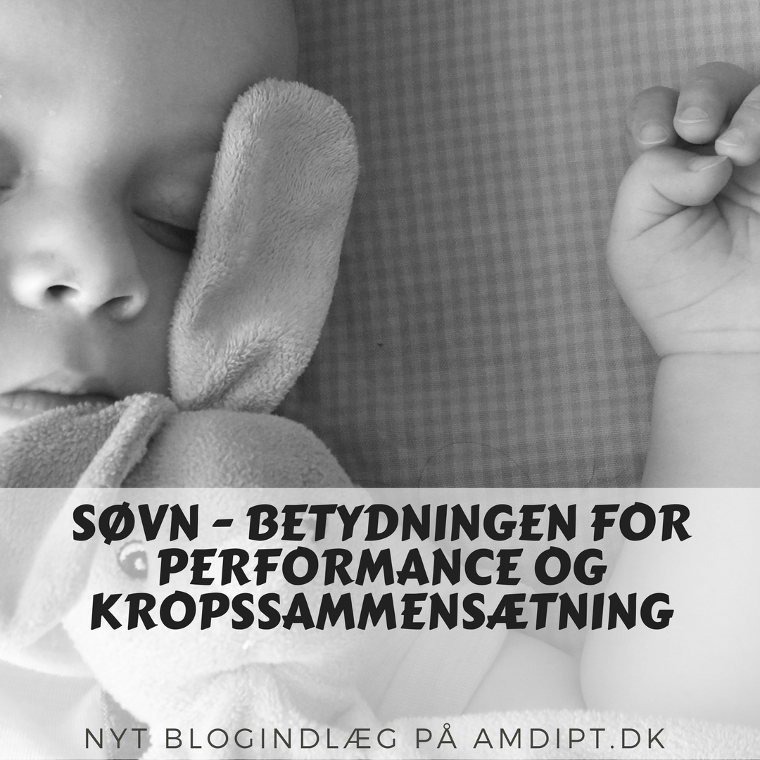 søvn