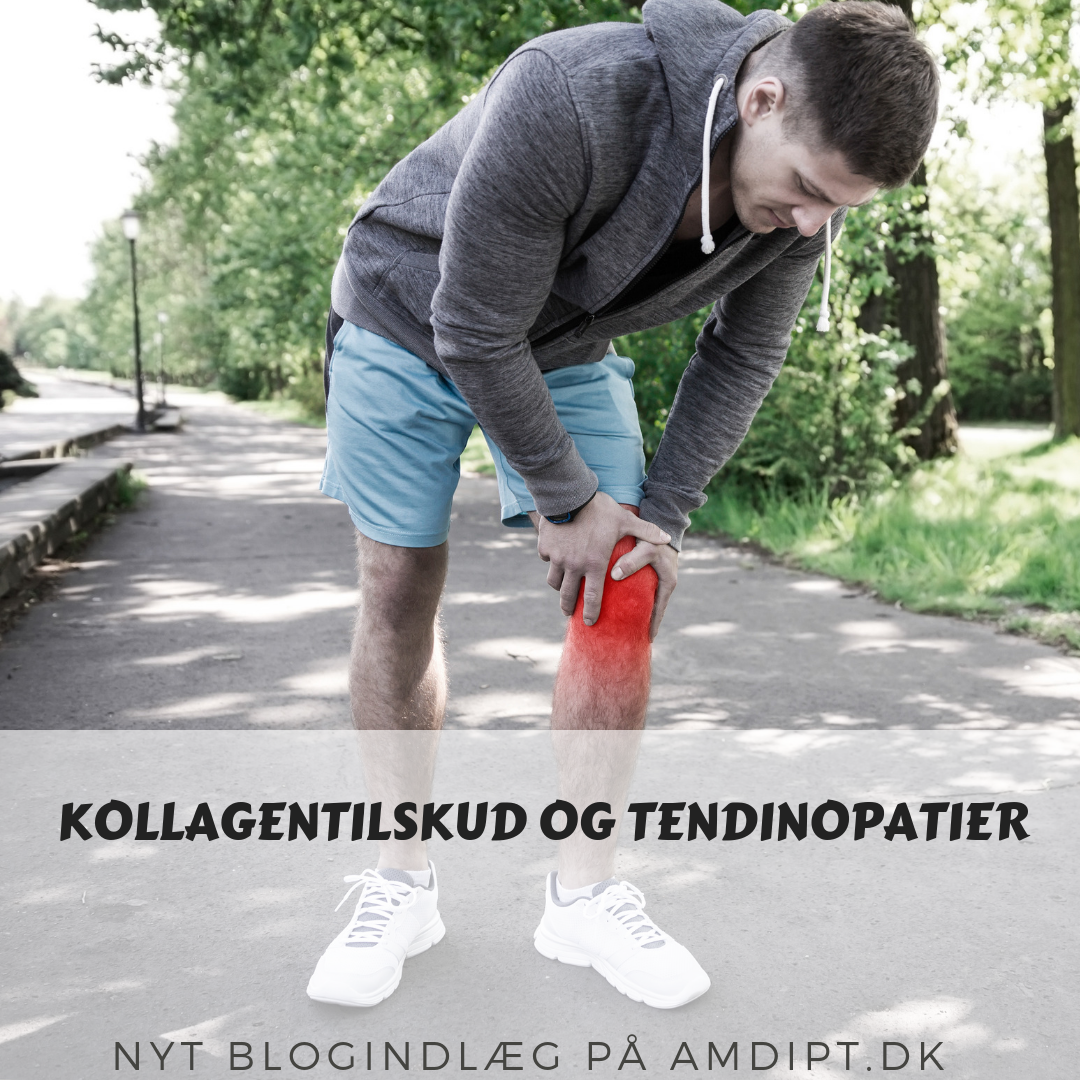 Kollagentilskud